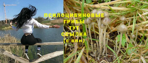 ешки Алзамай