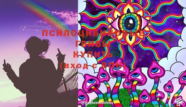ешки Алзамай