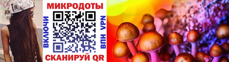 где купить наркоту  Кувшиново  Галлюциногенные грибы Psilocybine cubensis 